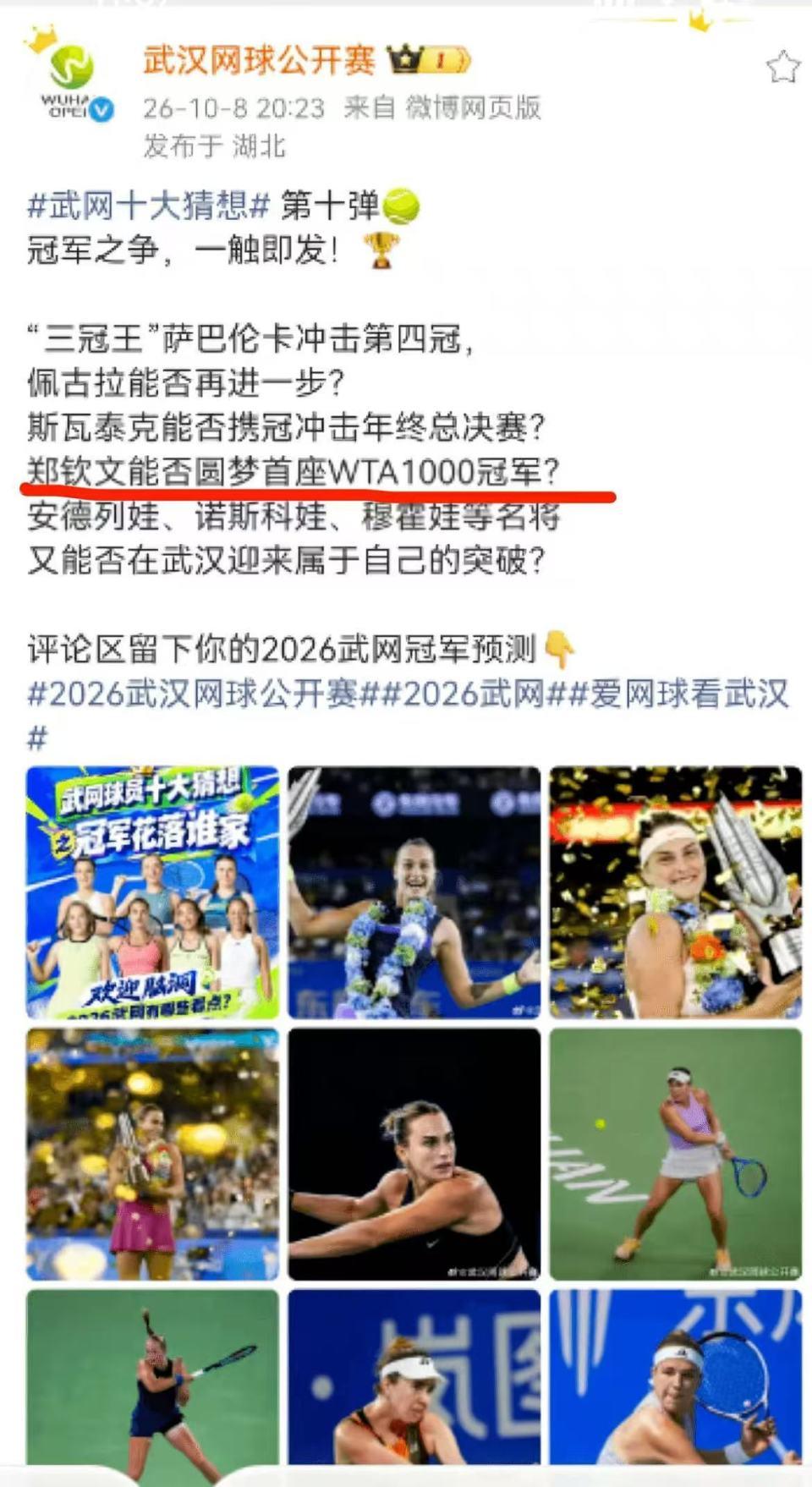 ms美狮贵宾会图片展示