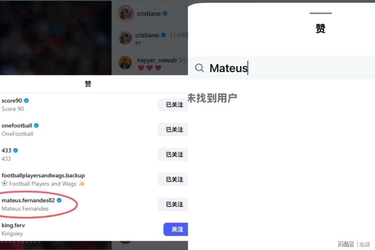 美狮贵宾会ms092021相关图片