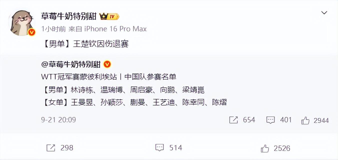 专业美狮贵宾会服务