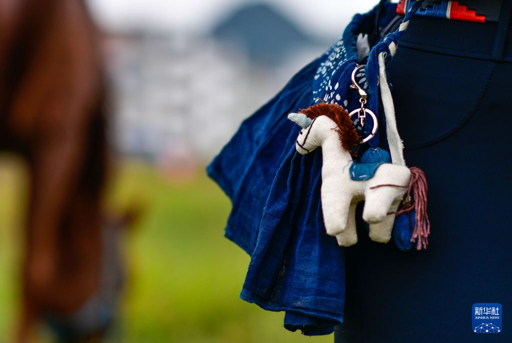 专业美狮贵宾会服务